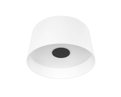 Потолочный светодиодный светильник Loft IT Duo 10360L White