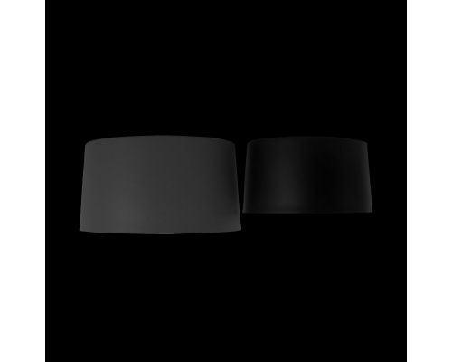 Потолочный светодиодный светильник Loft IT Duo 10360/2