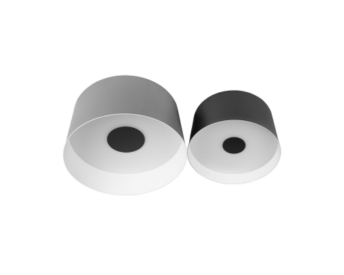 Потолочный светодиодный светильник Loft IT Duo 10360/2