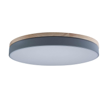 Потолочный светодиодный светильник Loft IT Axel 10001/36 grey