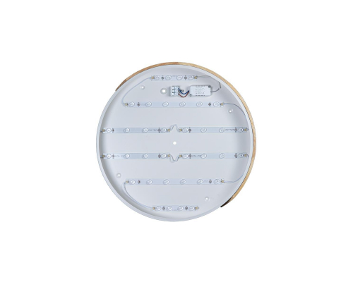 Потолочный светодиодный светильник Loft IT Axel 10004/36 white