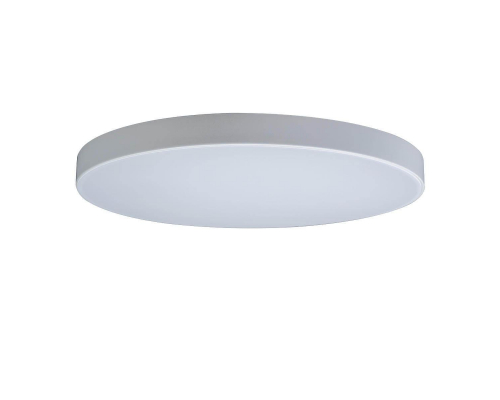 Потолочный светодиодный светильник Loft IT Axel 10002/48 white
