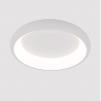 Потолочный светодиодный светильник Arte Lamp Menkib A2694PL-45WH