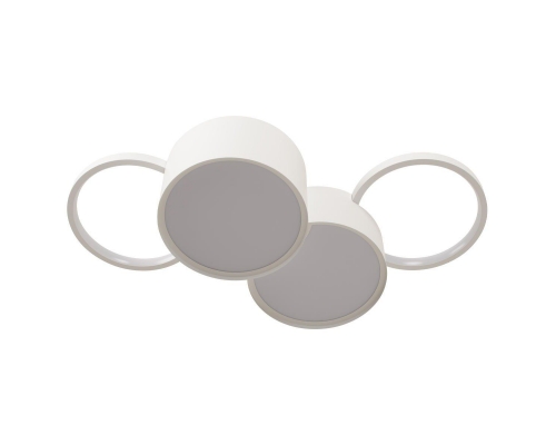 Потолочный светодиодный светильник Loft IT Pin 10317/4 White