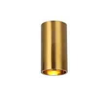 Потолочный светодиодный светильник Favourite Stirpe 2796-1U