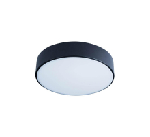Потолочный светодиодный светильник Loft IT Axel 10002/12 black