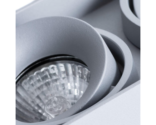 Потолочный светильник Arte Lamp Pictor A5654PL-2GY