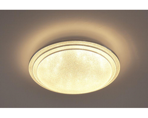 Потолочный светодиодный светильник Escada 10268/S LED