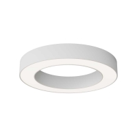 Потолочный светильник Maytoni Technical C093CL-36W4K-W