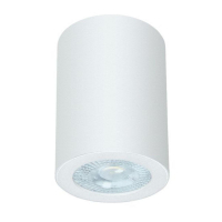 Потолочный светильник Arte Lamp Tino A1468PL-1WH