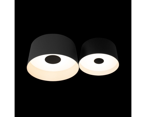 Потолочный светодиодный светильник Loft IT Duo 10360/2