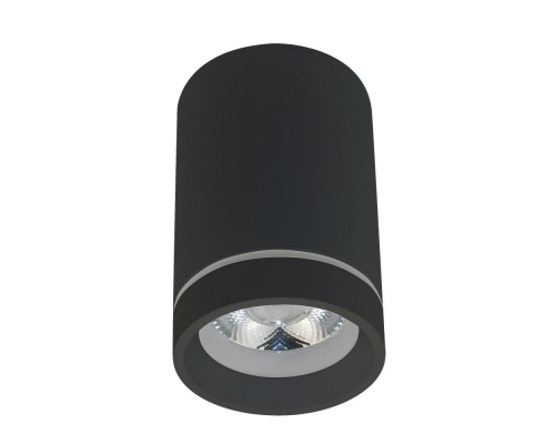 Потолочный светодиодный светильник Aployt Edda APL.0054.19.10
