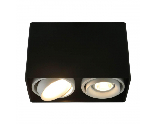 Потолочный светильник Arte Lamp A5655PL-2BK