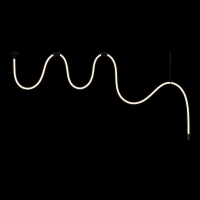 Потолочный светильник LOFT IT Thread 10388B Black