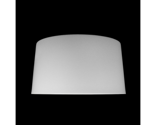 Потолочный светодиодный светильник Loft IT Duo 10360L White