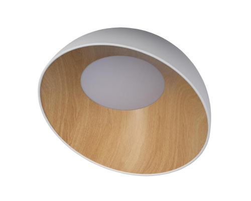 Потолочный светодиодный светильник Loft IT Egg 10197/500 White