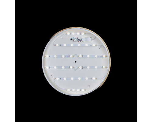Потолочный светодиодный светильник Loft IT Axel 10004/36 white