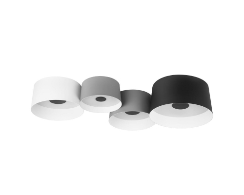 Потолочный светодиодный светильник Loft IT Duo 10360/4