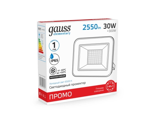 Прожектор светодиодный Gauss 30W 613100330