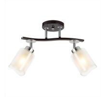 Спот Citilux Фортуна CL156122