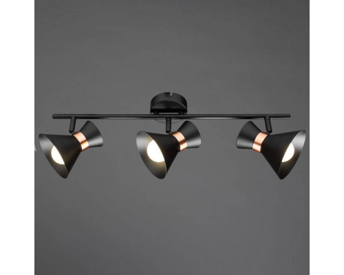 Спот Arte Lamp Baltimore A1406PL-3BK