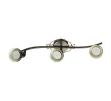 Спот Arte Lamp Focus A5219PL-3BR