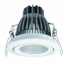 Карданный светильник Kanlux DAGO POWER LED DLP-10 8900