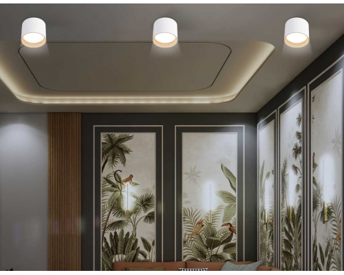 Светильник накладной Ambrella Light TN5304