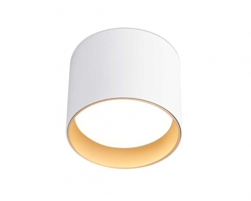 Светильник накладной Ambrella Light TN5304