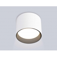 Светильник накладной Ambrella Light TN5303