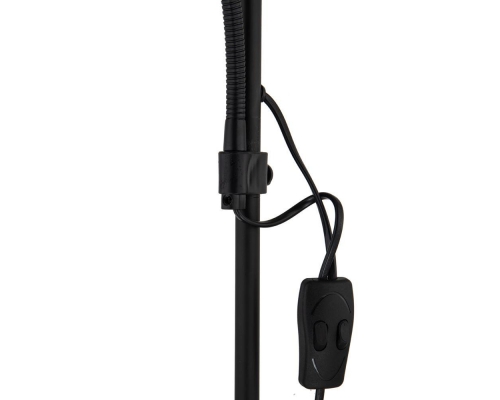 Торшер Arte Lamp Duetto A9569PN-2BK