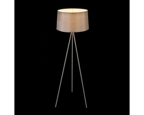 Торшер Freya Bonita FR5152-FL-01-GR