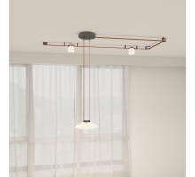 Трековая ременная система Denkirs Belty Set DK55SET02-01-BR