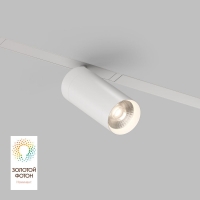 Трековый светильник Denkirs Smart DK8020-WH
