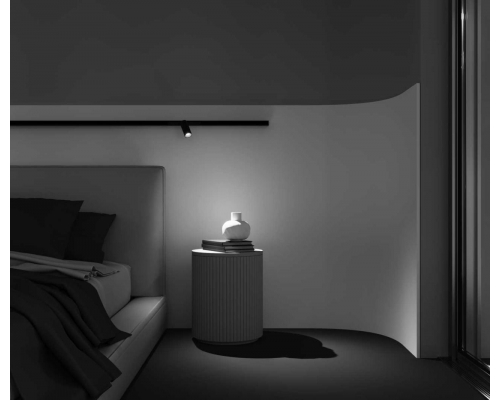 Трековый светильник Maytoni Technical Focus LED TR032-2-5W2.7K-M-B