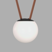 Трековый светильник Denkirs BELTY ORB DK5550-BK