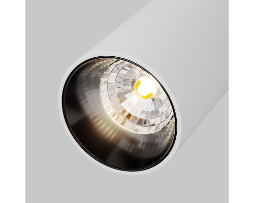 Трековый светодиодный светильник Maytoni Technical Radity Focus LED TR103-1-12W4K-M-W