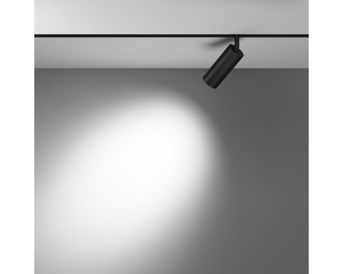 Трековый светодиодный светильник Maytoni Technical Exility Focus Led TR032-2-12W4K-S-B