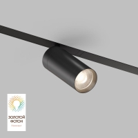 Трековый светильник Denkirs Smart DK8020-BK