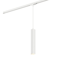 Трековый светильник Denkirs DK6210-WH