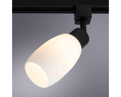 Трековый светильник Arte Lamp Miia A3055PL-1BK