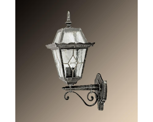 Уличный настенный светильник Arte Lamp Paris A1351AL-1BS