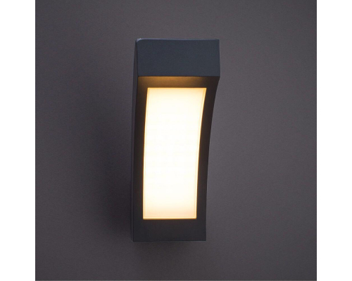 Уличный настенный светодиодный светильник Arte Lamp Accenno A8101AL-1GY