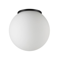 Потолочный светильник Odeon Light NATURE 7124/1C