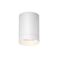 Потолочный светильник Maytoni Outdoor O500CL-L10W3K