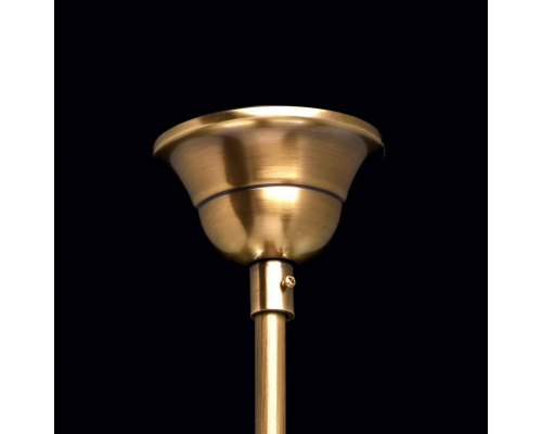Подвесной светильник Chiaro Мидос 802010303