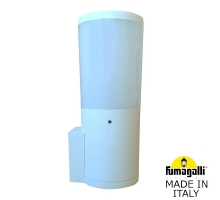 Светильник уличный настенный FUMAGALLI AMELIA WALL DR2.570.000.WYE27