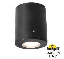 Потолочный накладной светильник FUMAGALLI FRANCA 90 черный, прозрачный 3A7.000.000.AXU1L