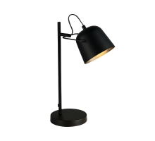Лампа настольная Evoluce Blank SLE1805-404-01