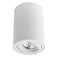 Светильник потолочный Arte Lamp SENTRY A1560PL-1WH